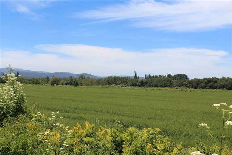 Campo agrícola en venta en Coihueco, cerca de Chillan