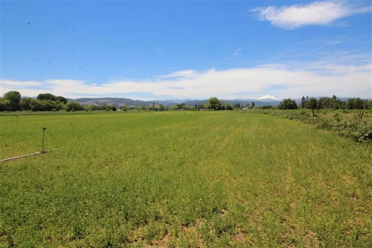 Campo agrícola en venta en Coihueco, cerca de Chillan