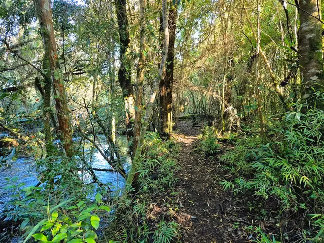 Preciosa parcela sector Pichilaguna en venta en Llanquihue - Imagen 4