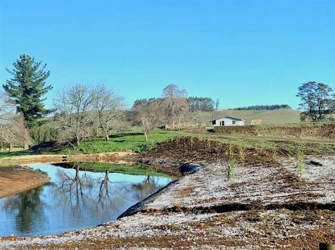 Preciosa parcela sector Pichilaguna en venta en Llanquihue