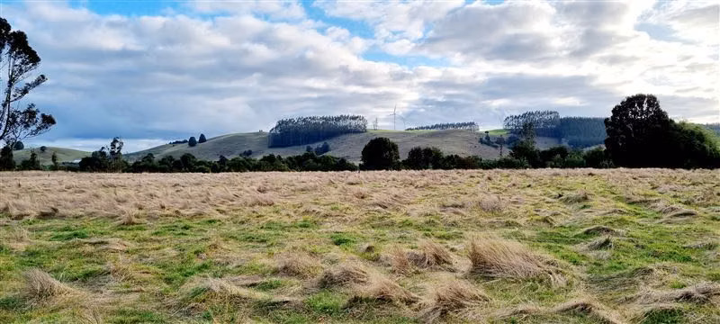 Preciosa parcela sector Pichilaguna en venta en Llanquihue