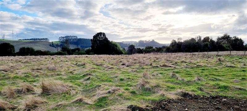 Preciosa parcela sector Pichilaguna en venta en Llanquihue