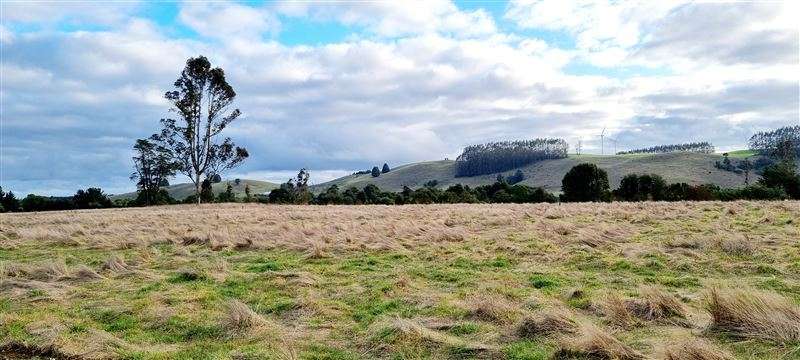Preciosa parcela sector Pichilaguna en venta en Llanquihue