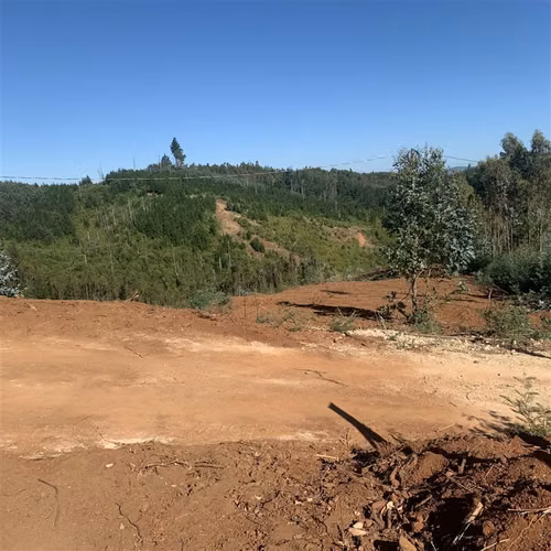 Parcelas 5.000 m2 cerca Concepción en Hualqui desde 550 UF