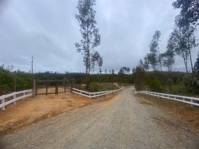 Parcelas 5.000 m2 cerca Concepción en Hualqui desde 550 UF
