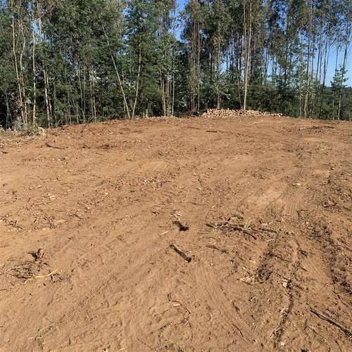 Parcelas 5.000 m2 cerca Concepción en Hualqui desde 550 UF