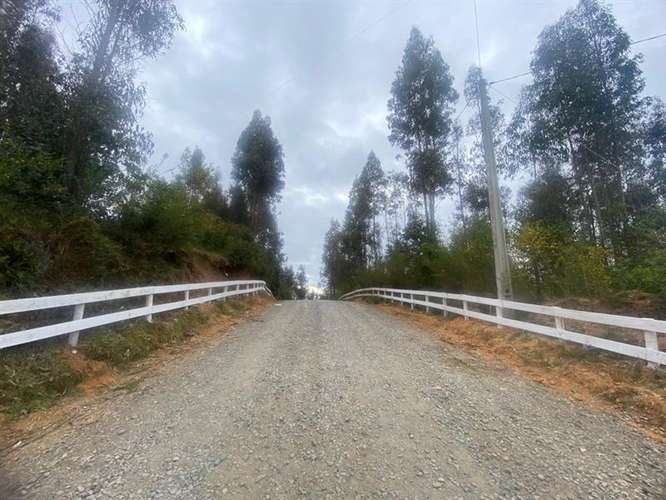 Parcelas 5.000 m2 cerca Concepción en Hualqui desde 550 UF