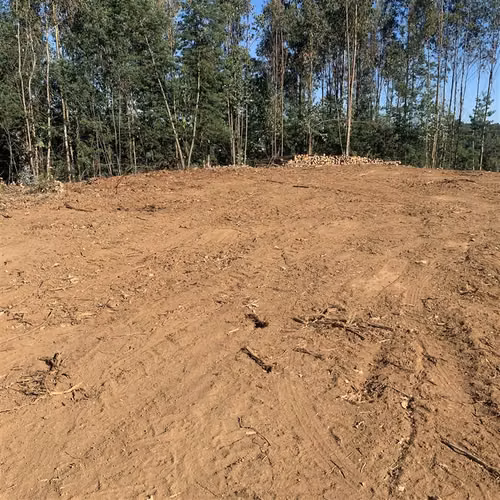 Parcelas 5.000 m2 cerca Concepción en Hualqui desde 550 UF