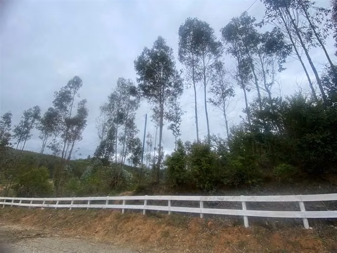 Parcelas 5.000 m2 cerca Concepción en Hualqui desde 550 UF