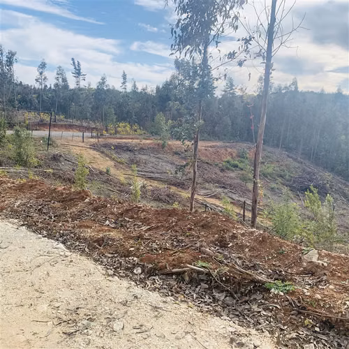 Parcelas 5.000 m2 cerca Concepción en Hualqui desde 550 UF