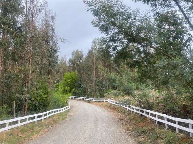 Parcelas 5.000 m2 cerca Concepción en Hualqui desde 550 UF