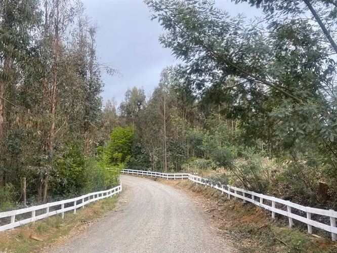 Parcelas 5.000 m2 cerca Concepción en Hualqui desde 550 UF