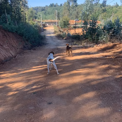 Parcelas 5.000 m2 cerca Concepción en Hualqui desde 550 UF