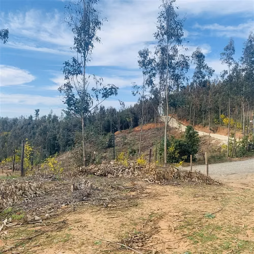 Parcelas 5.000 m2 cerca Concepción en Hualqui desde 550 UF