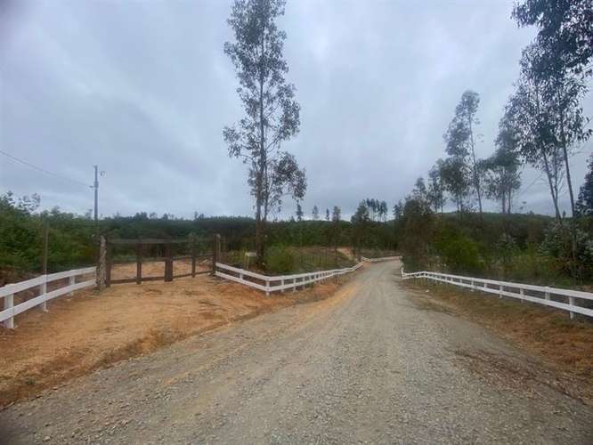 Parcelas 5.000 m2 cerca Concepción en Hualqui desde 550 UF
