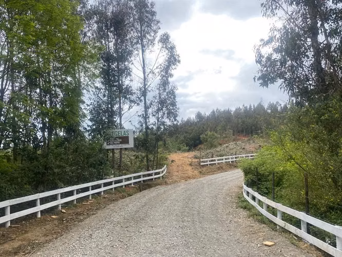 Parcelas 5.000 m2 cerca Concepción en Hualqui desde 550 UF