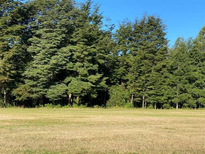 Hermoso barrio privado en Pucon, parcelas de 5.000 m2
