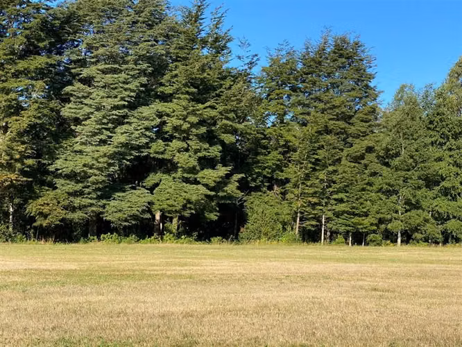 Hermoso barrio privado en Pucon, parcelas de 5.000 m2