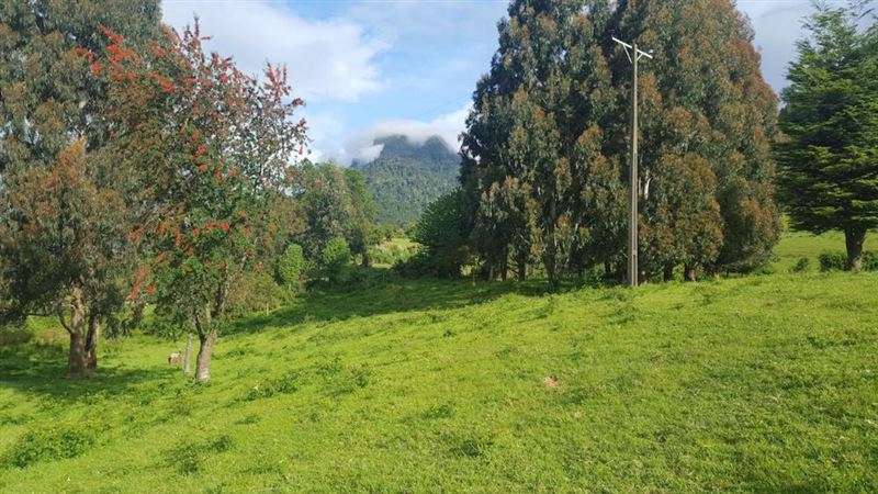 Parcela en venta en Lago Ranco
