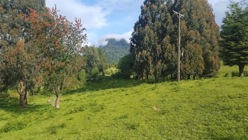 Parcela en venta en Lago Ranco - Imagen 4