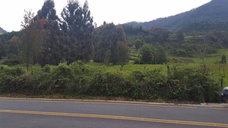 Parcela en venta en Lago Ranco - Imagen 5