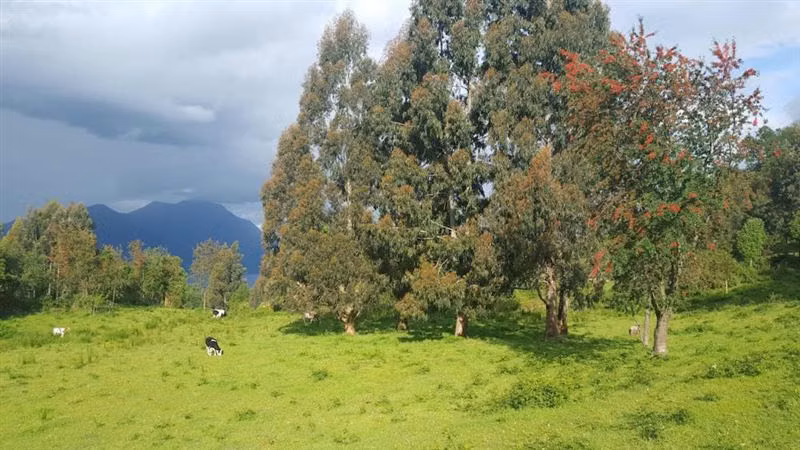 Parcela en venta en Lago Ranco