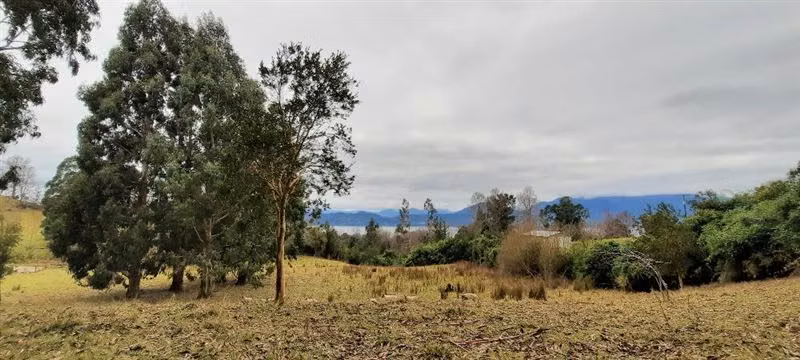 Parcela en venta en Lago Ranco - Imagen 3