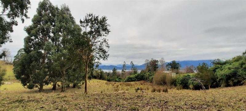 Parcela en venta en Lago Ranco