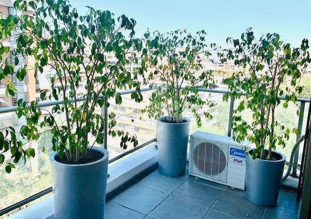 En el mejor edificio sector Las Lilas lujoso amplio dpto 4D. - Imagen 8