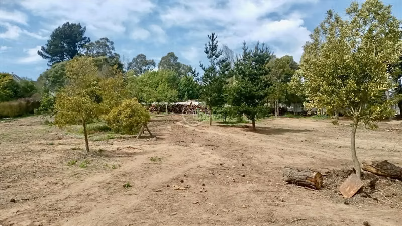 Sitio de 5000 mt en venta en condominio Maitencillo