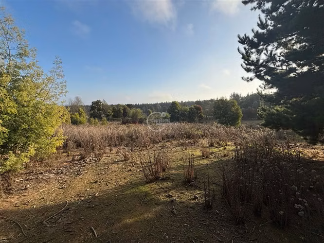 Sitio de 5000 mt en venta en condominio Maitencillo - Imagen 9