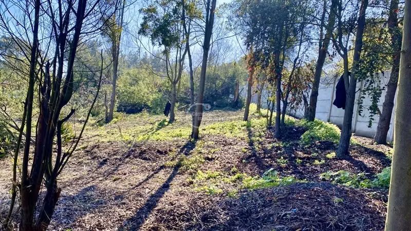Sitio de 5000 mt en venta en condominio Maitencillo