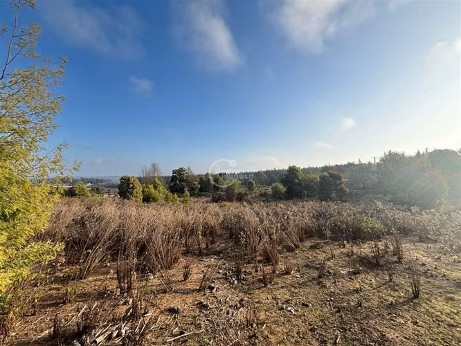 Sitio de 5000 mt en venta en condominio Maitencillo - Imagen 10
