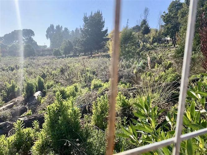 Sitio de 5000 mt en venta en condominio Maitencillo