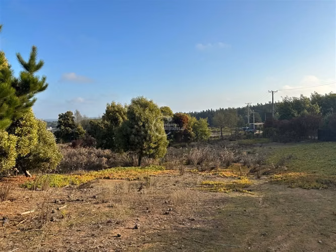 Sitio de 5000 mt en venta en condominio Maitencillo - Imagen 4