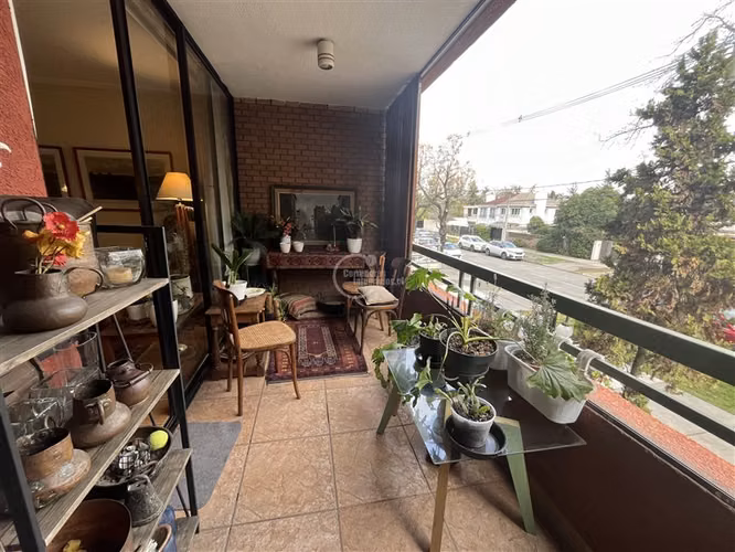 EXCELETE Y ACOGEDOR DPTO 1 DORMITORIO CON TERRAZA