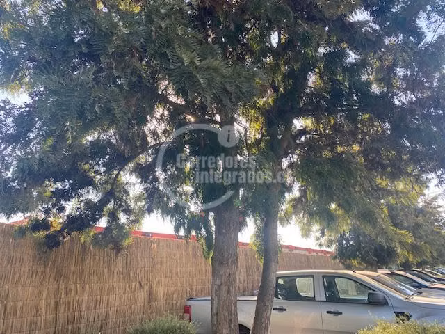 Sitio en Venta en Colina - Imagen 31