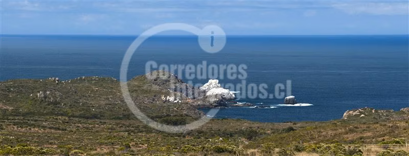 Sitio en venta en La Ligua - Imagen 4