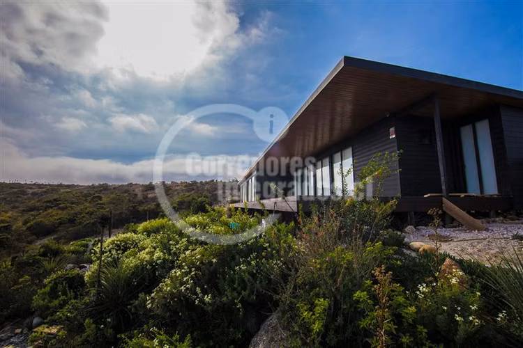 Sitio en venta en La Ligua - Imagen 17