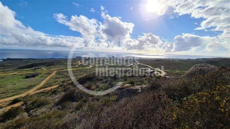 Sitio en venta en La Ligua - Imagen 2