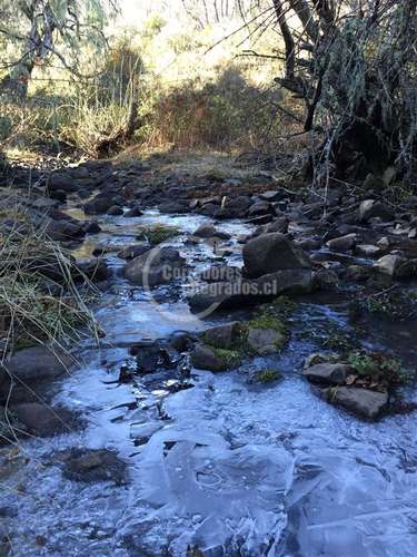 Venta de sitio en Curicó Monte Grande El Buchen - Imagen 5