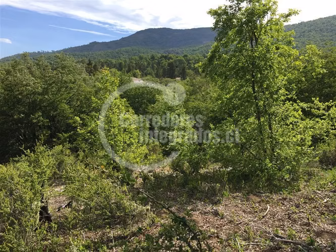 Sitio en venta en Curicó