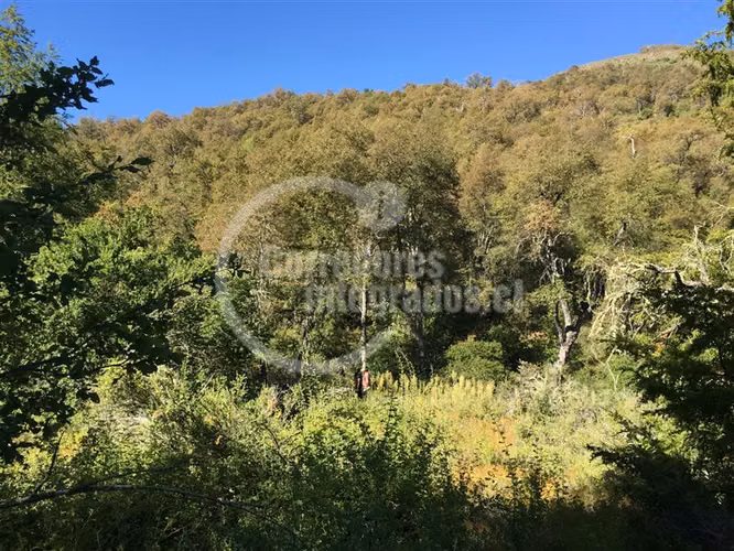 Sitio en venta en Curicó - Imagen 4
