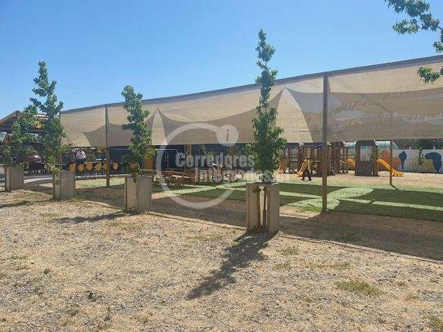 Parcela en venta en Colina - Imagen 3