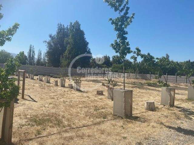 Parcela en venta en Colina - Imagen 9
