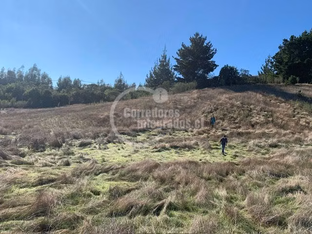 Sitio en venta en Cobquecura