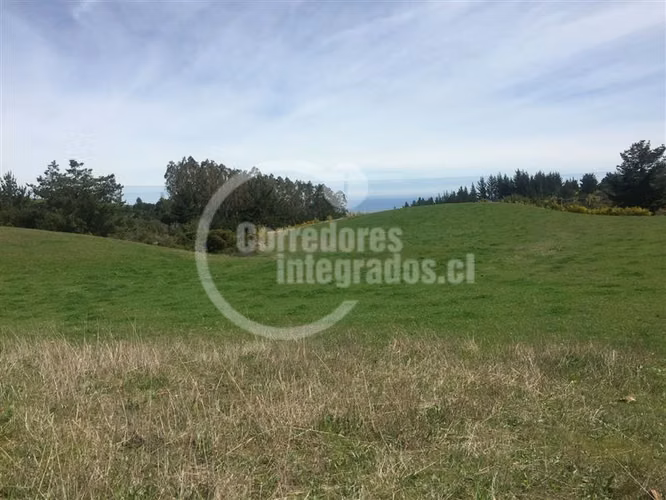 Sitio en venta en Cobquecura - Imagen 4