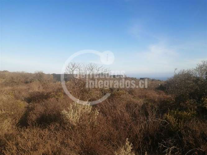 Sitio Venta Rocas del Mar - Los Molles - Imagen 10