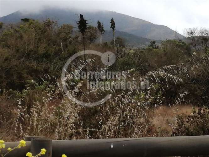 Sitio Venta Rocas del Mar - Los Molles - Imagen 6