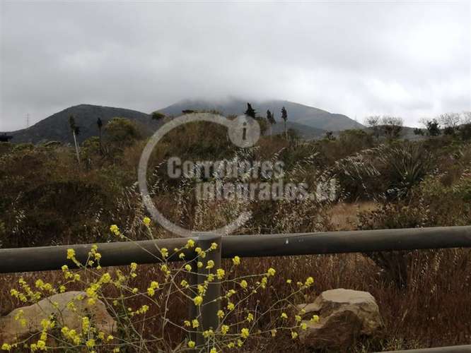 Sitio Venta Rocas del Mar - Los Molles - Imagen 9